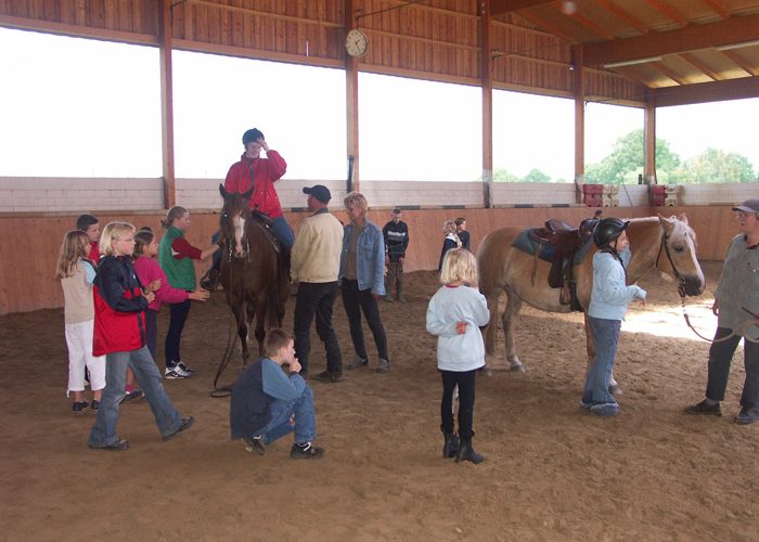Seminar artgerechte Pferdehaltung
